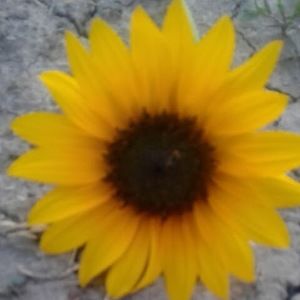 Meet your Posher, Lesly